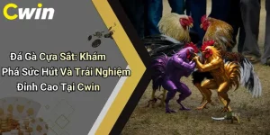 Đá Gà Cựa Sắt: Khám Phá Sức Hút Và Trải Nghiệm Đỉnh Cao Tại Cwin