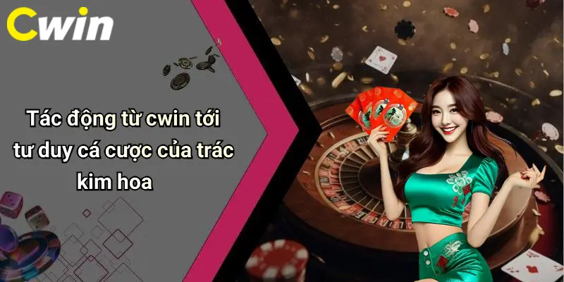 Tác động từ cwin tới tư duy cá cược của trác kim hoa